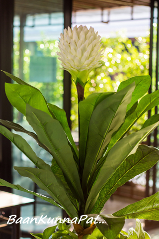 Baan Kunnapat Resort